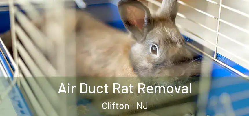  Air Duct Rat Removal Clifton - NJ