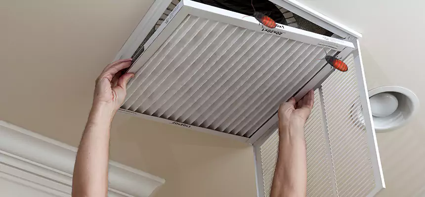 Our Insect Removal from Air Ducts Services in Clifton, NJ
