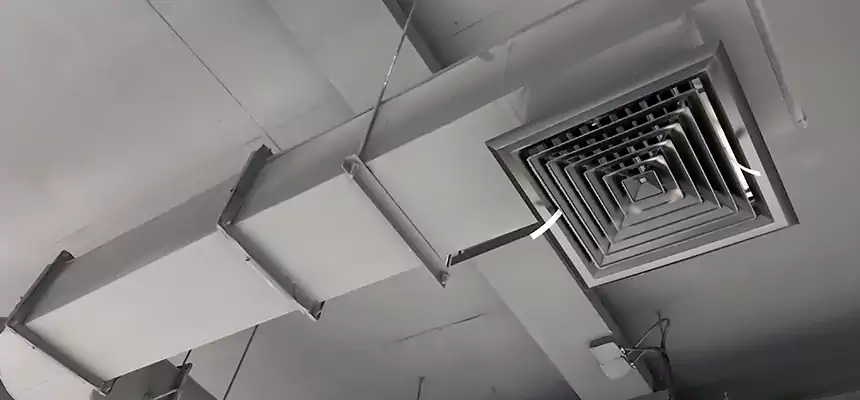 Our Pest Removal From Ducts Services in Clifton, NJ