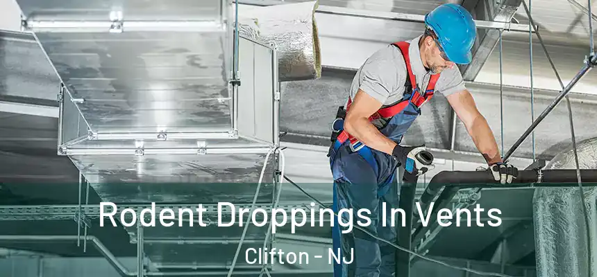  Rodent Droppings In Vents Clifton - NJ