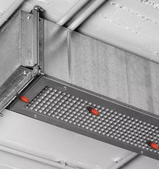 Affordable Insect Removal from Air Ducts in Clifton, NJ